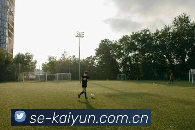 kaiyunApp界面展示